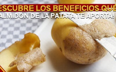 Beneficios del Almidón