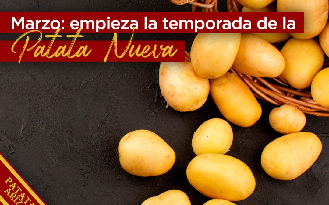 Empieza la temporada de la patata nueva