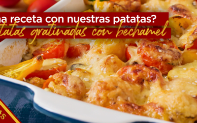 Receta de patatas gratinadas con bechamel, cebolla, tomate y huevo